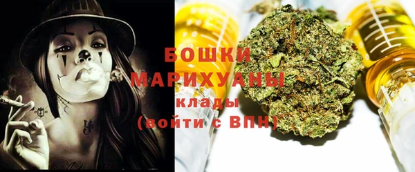 индика Сафоново
