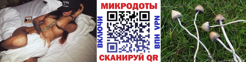 Галлюциногенные грибы мухоморы  купить наркотики сайты  Белореченск 
