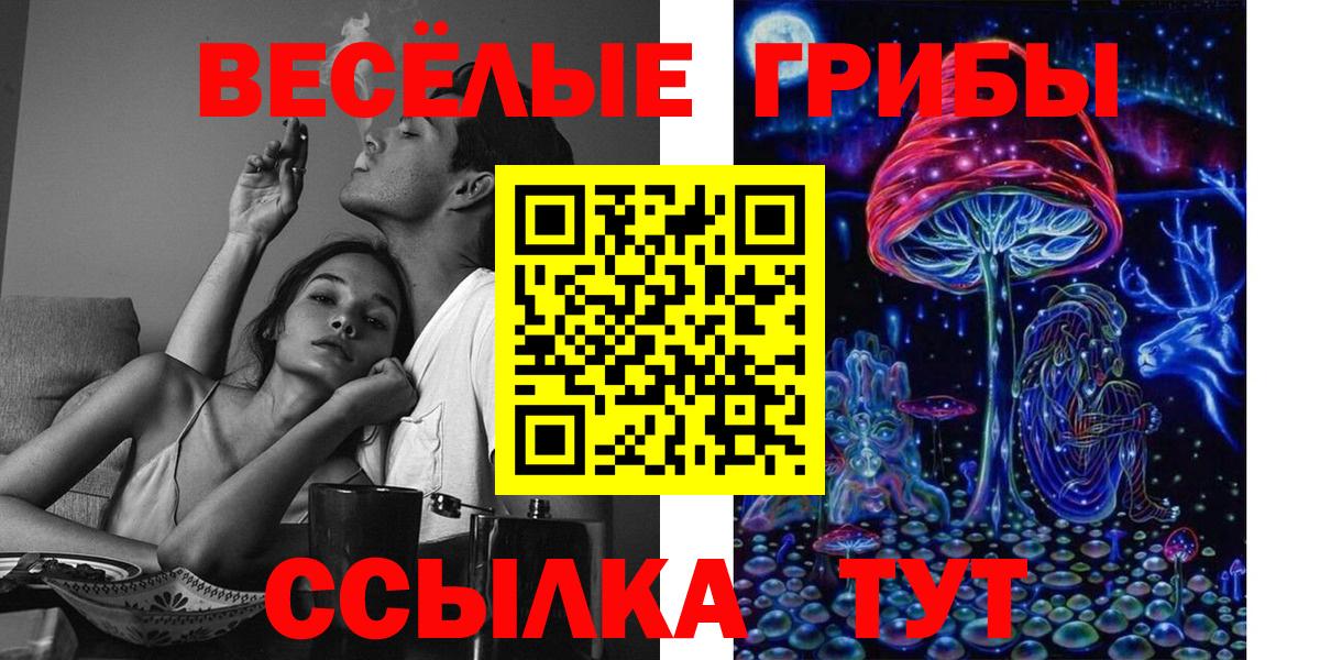 Псилоцибиновые грибы Psilocybe  Вход с VPN  Белореченск 
